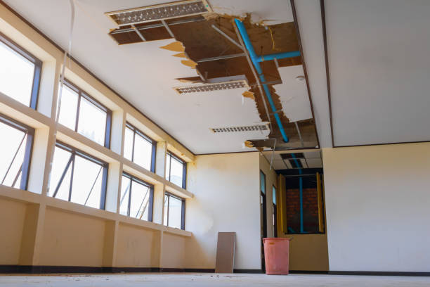 Best Flooded house restoration  in West Salem, OH