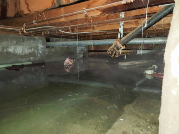 Best Water damage restoration company  in West Salem, OH