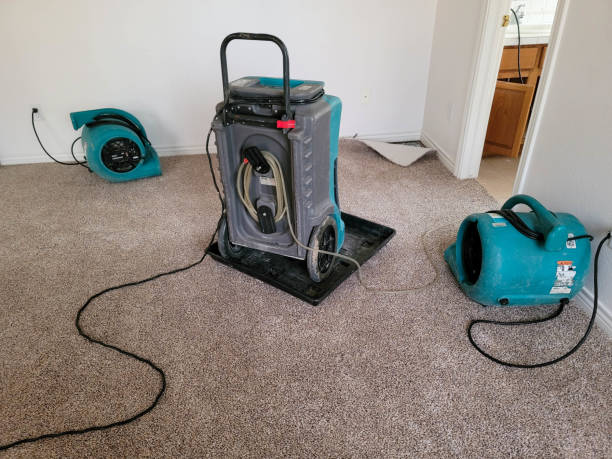 Trusted West Salem, OH Water damage restoration Experts