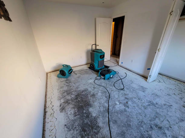 Best Local water damage restoration  in West Salem, OH
