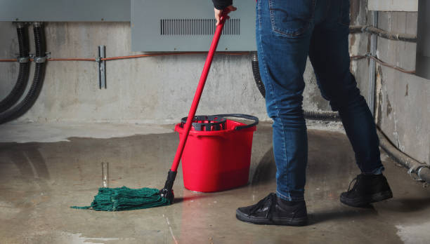 Water damage restoration mold remediation in West Salem, OH