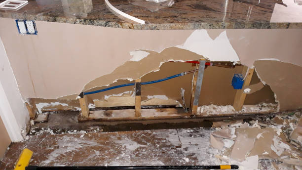 Best Local water damage restoration  in West Salem, OH
