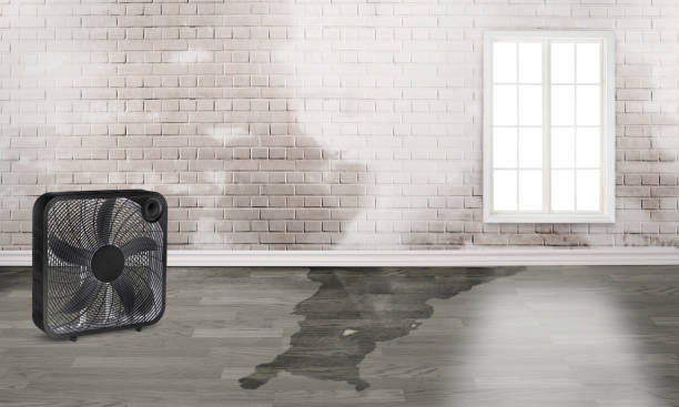 Water damage restoration experts in West Salem, OH