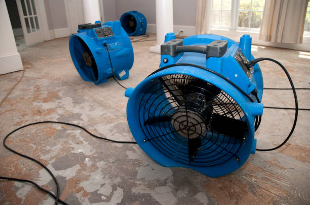 Best 24-hour water damage restoration  in West Salem, OH