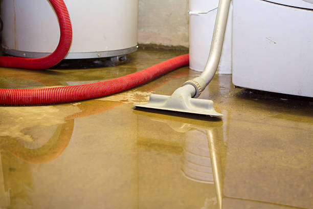 Best Water damage contractors near me  in West Salem, OH