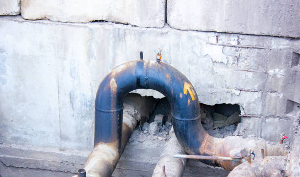 Best Water damage restoration mold remediation  in West Salem, OH