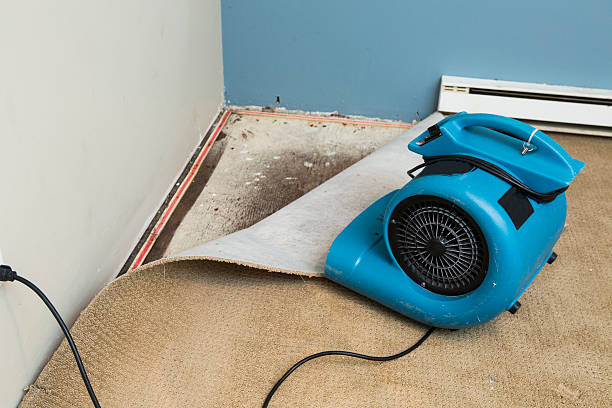 Best Sewage cleanup and water damage restoration  in West Salem, OH